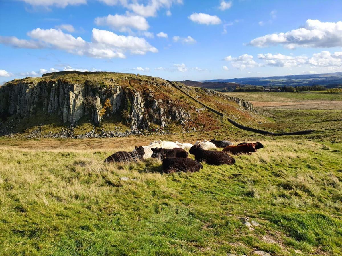 Moonflower Lodge Newton on the Moor Exterior photo